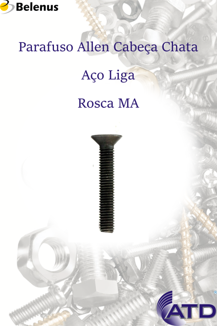 Parafuso Allen Cabeça Chata Aço Liga Rosca MA