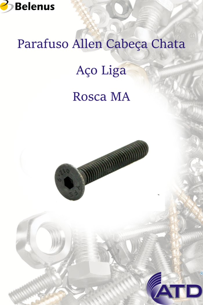 Parafuso Allen Cabeça Chata Aço Liga Rosca MA - Imagem 2