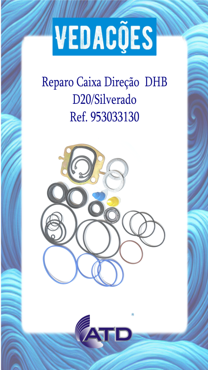 Reparo para Caixa Direção DHB C10/D20/D40/Silverado