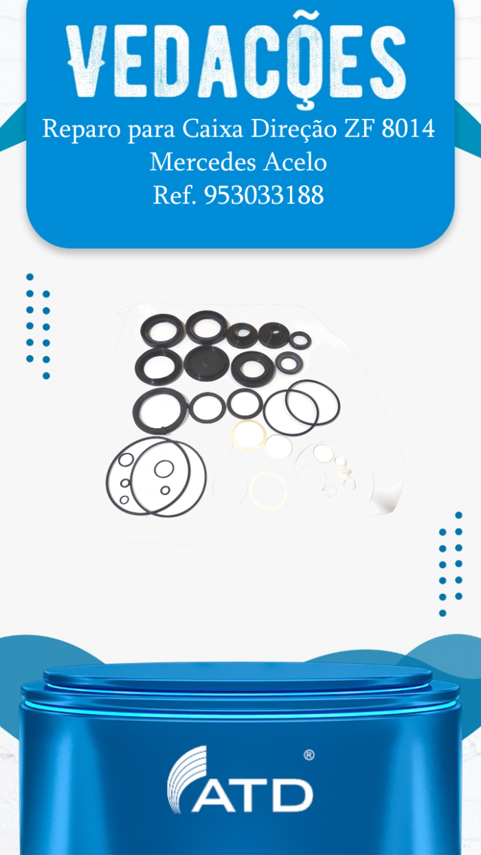Reparo para Caixa Direção ZF 8014 Mercedes Acelo