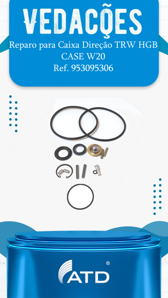 Reparo para Caixa Direção TRW HGB Case W20