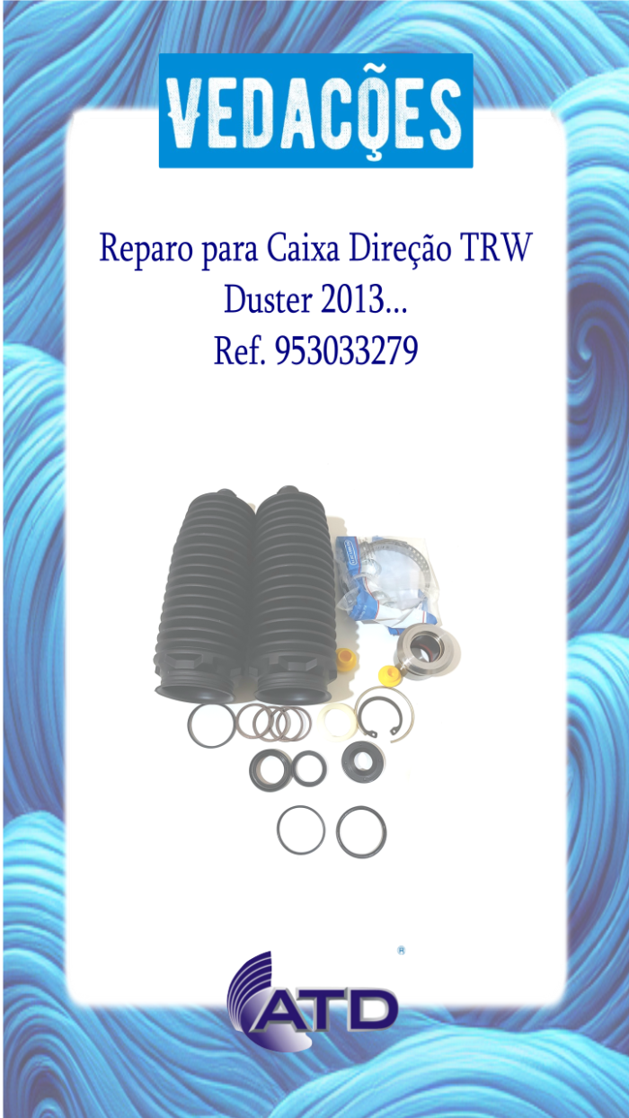 Reparo para Caixa Direção TRW Duster 2013...